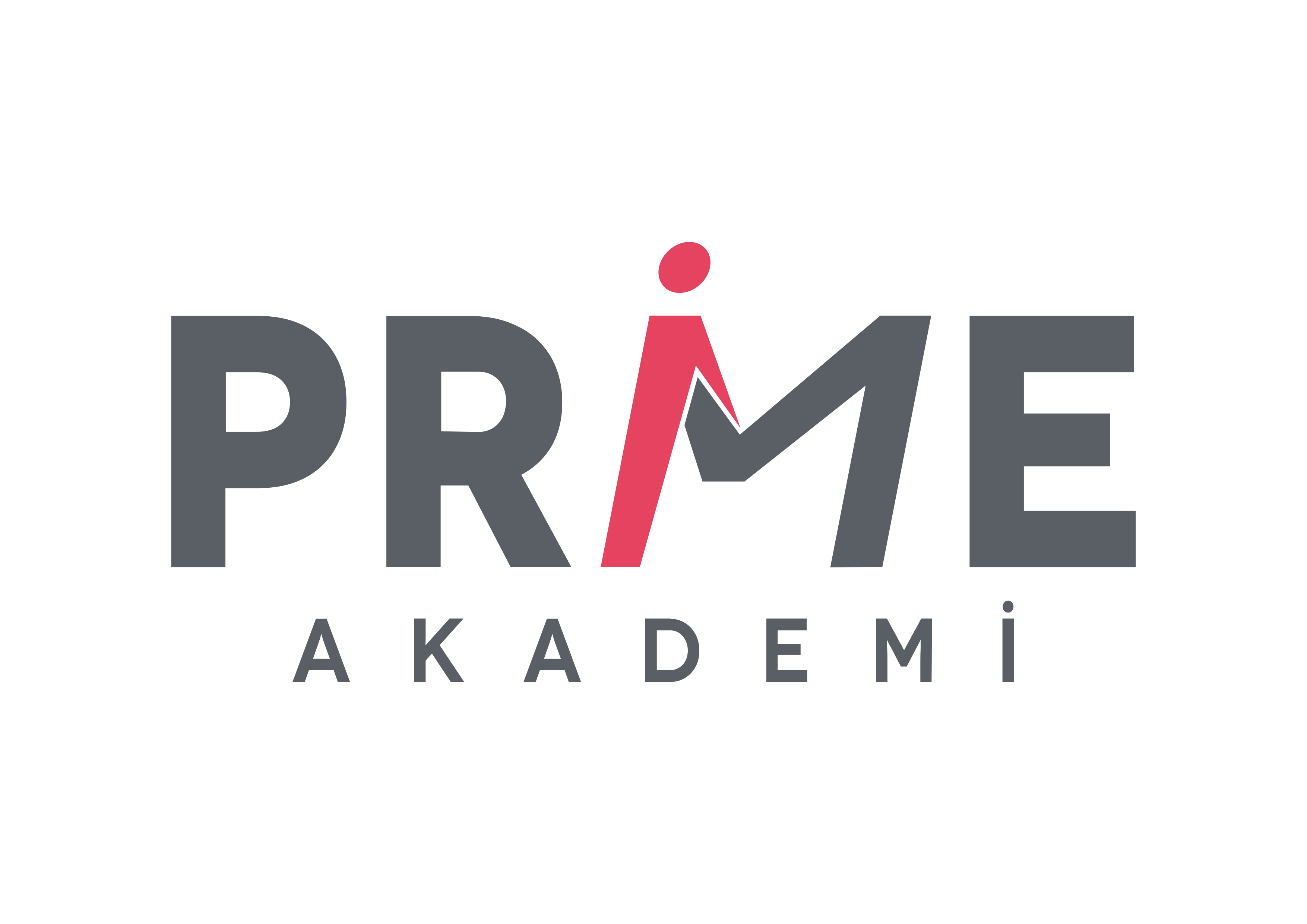 primeakademi_logo_beyaz_060420 copy